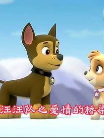 汪汪隊之愛情的橋梁