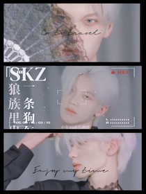 SKZ：狼族里出现了一只狗怎么了！