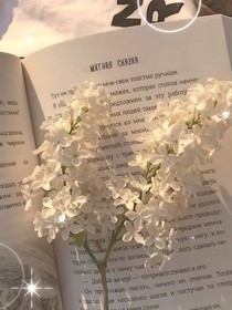 青春因你而发芽