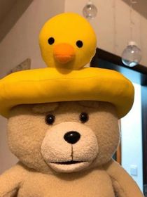 我全班之穿越凹凸世界