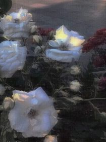 藏起來的愛意……
