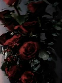 TF三代：玫瑰的花語(yǔ)