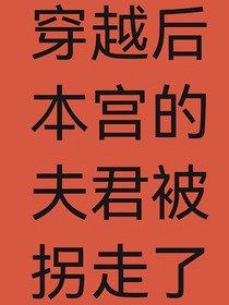 穿越后本宫的夫君被拐了