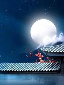 明月入我怀