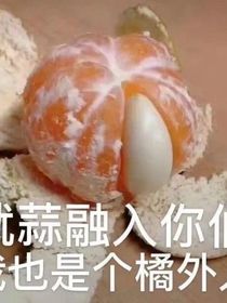 區(qū)區(qū)隨筆而已