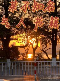 某不知名气人书籍