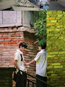 小狗舔主人的故事