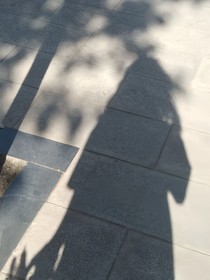 秋思南枝