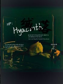 HP：hyacinth缄落