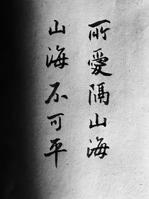 攻占我的美人舅舅