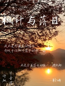 枫叶与落日