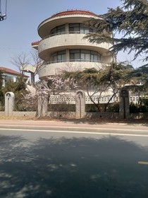 岁岁年年常将胜