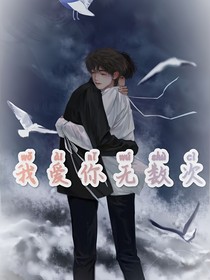 我爱你无数次