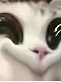 校園活