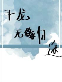 斗龙：无缘归途