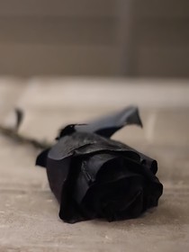 妮沐：不会再爱