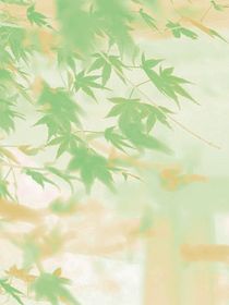 只对你动过情