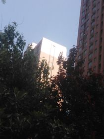 学习动力