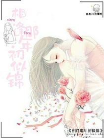 相逢那年初似锦