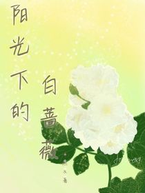 阳光下的白蔷薇