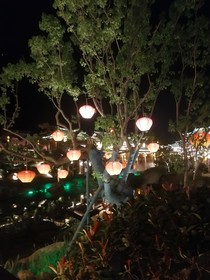 夜秋繁年