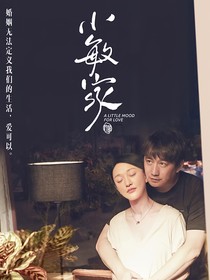 小敏家之第二季