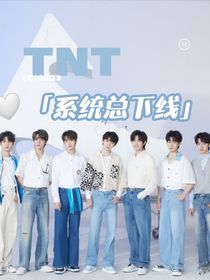 TNT：系統(tǒng)總下線