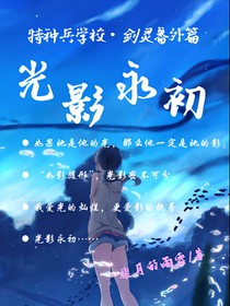 特种兵学校剑灵番外之光影永初