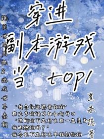 穿进副本游戏当top1