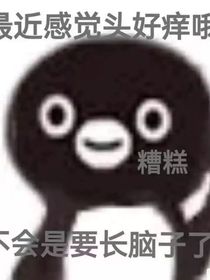 至夏的寶可夢(mèng)日常