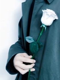 all真：纸玫瑰（修改中）