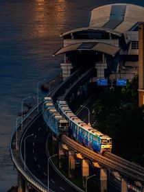 山茶诗篇