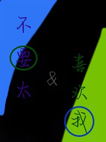 不要太喜欢我