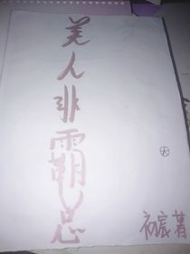 美人非霸总