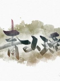 青山瑶