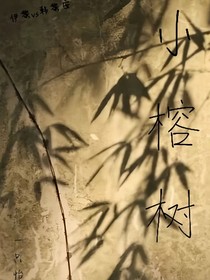 小榕树