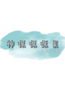 神探探探案——怪盗奇案篇