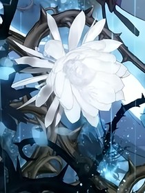 海天雪