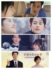 棣月系：你比星途重要
