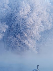 異界之旅：重置-d417