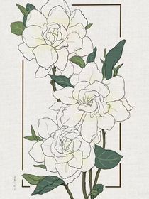 走近——走进——走尽