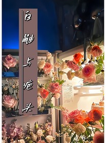 白鼬与疤头