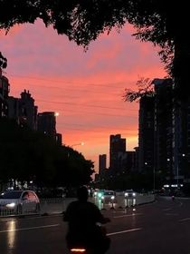 君忘满冬