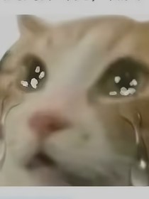 路三