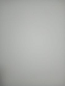 轉(zhuǎn)生成木雕