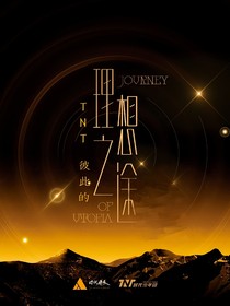 TNT：彼此的理想之途
