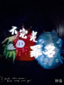不完美罪名