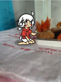 鱼你同行，鱼你相遇