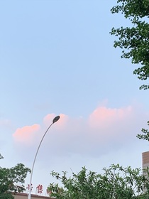 龙字科的小师妹……