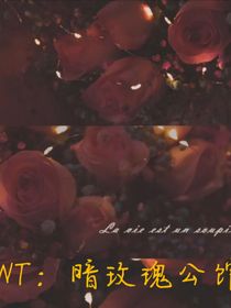 TNT：暗玫瑰公馆